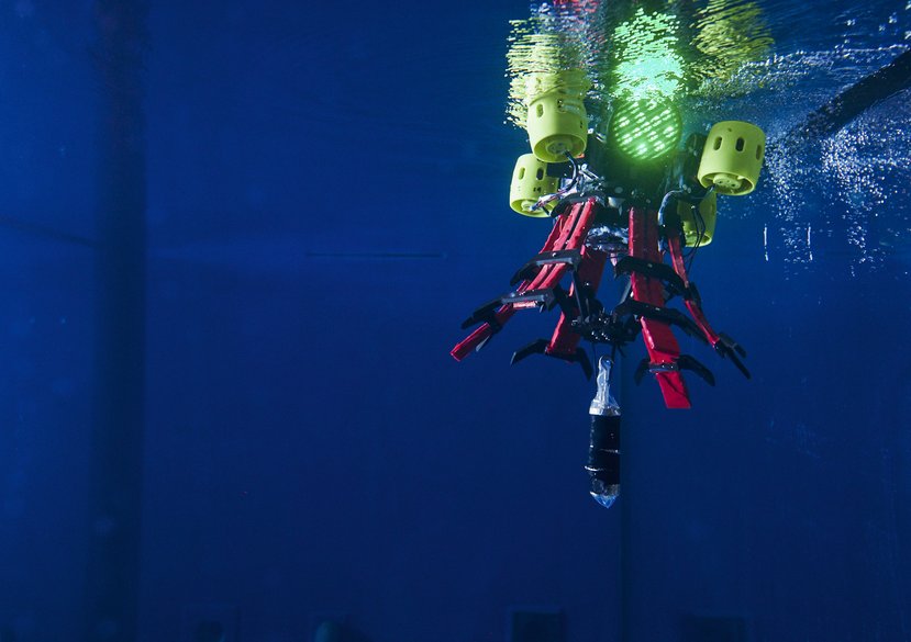 Bioinspired soft underwater robots