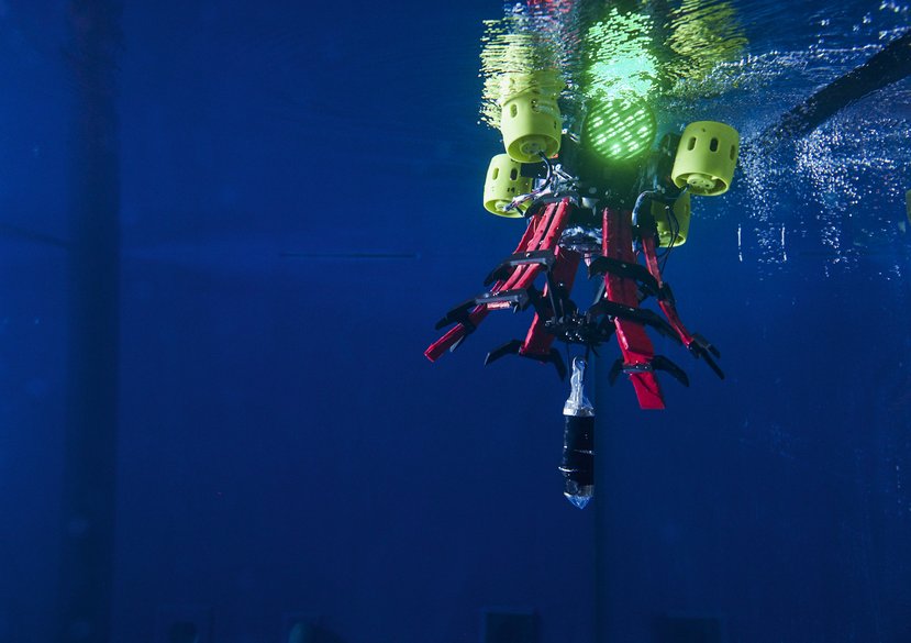 Bioinspired soft underwater robots