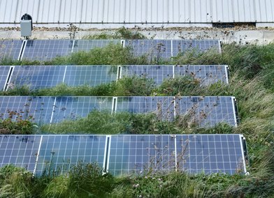 Solar panels and green roof at RCA Battersea