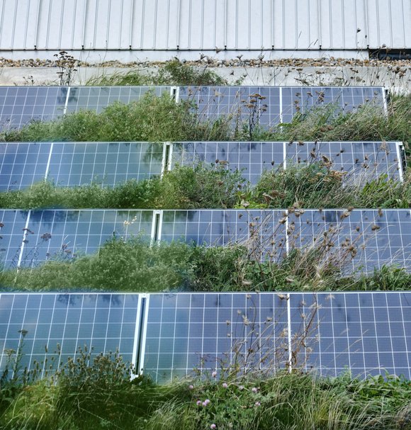 Solar panels and green roof at RCA Battersea