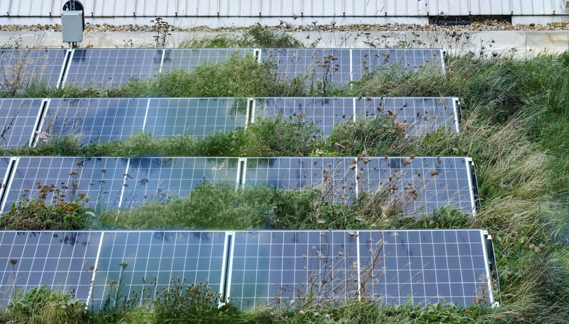 Solar panels and green roof at RCA Battersea