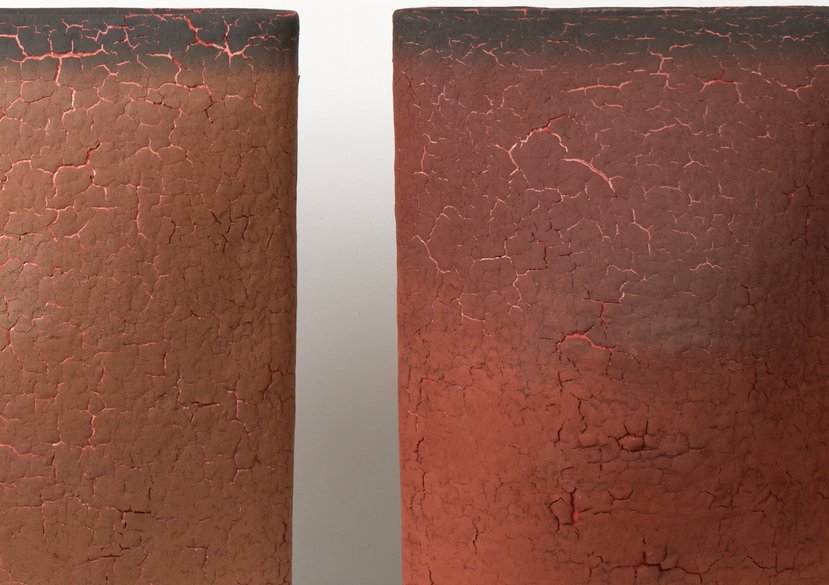 RCA 4 Irina Razumovskaya Fertile earths