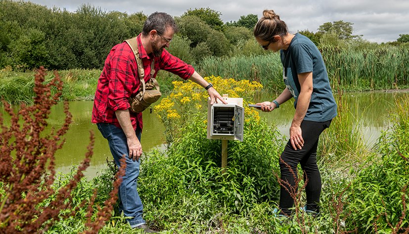 A collaboration with Oppo and the White Stork Project (durrell Trust) on the infamous Knepp Estate, rewilding project.
