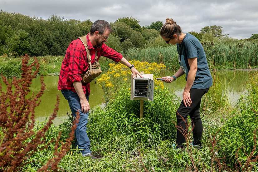 A collaboration with Oppo and the White Stork Project (durrell Trust) on the infamous Knepp Estate, rewilding project.