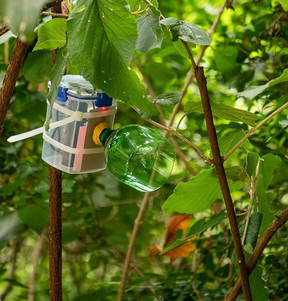 My Naturewatch, a research project led by Dr Rob Phillips (School of Design)