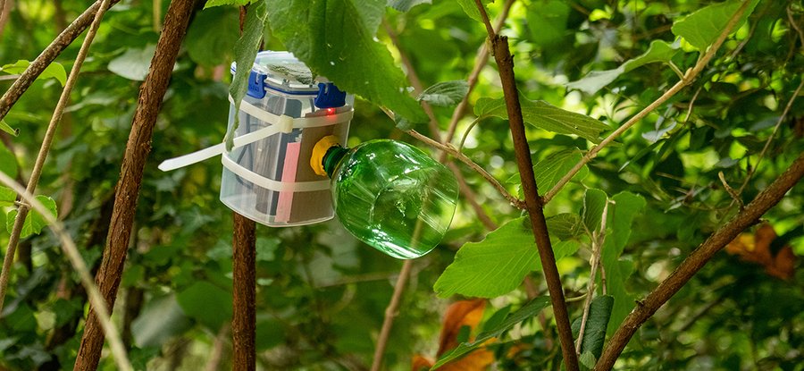 The Naturewatch Camera embodies inclusive design in the digital age, as the activity engages a wide demographic community, and can be used by all