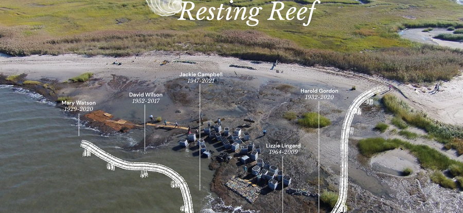Resting Reef landscape