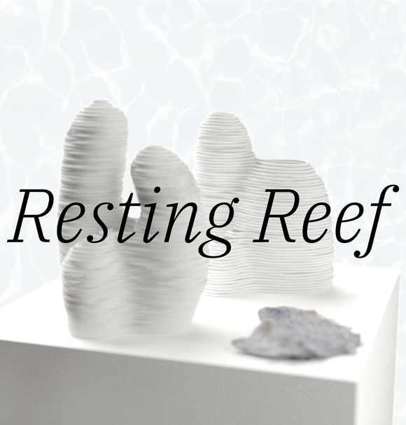 Resting Reef