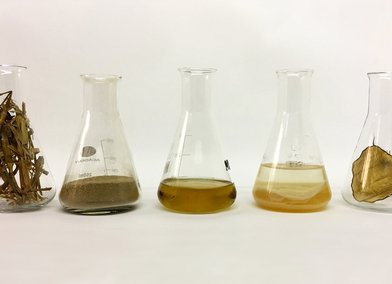 Wheat straw transformation with Acetobacter to produce bacterial cellulose