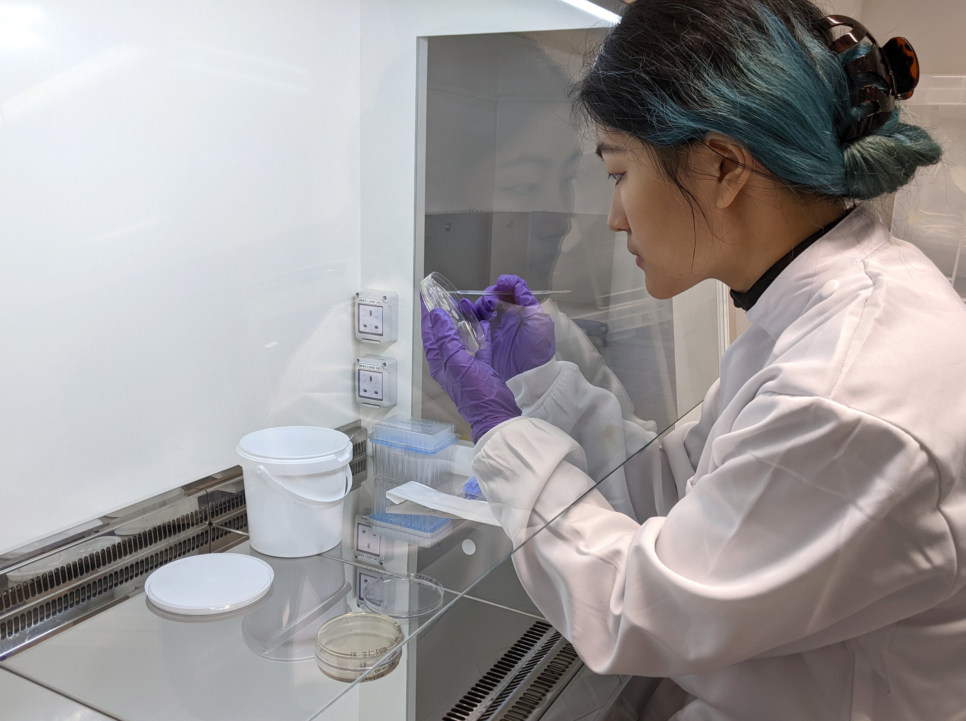 Yiyuan performing microbial culture