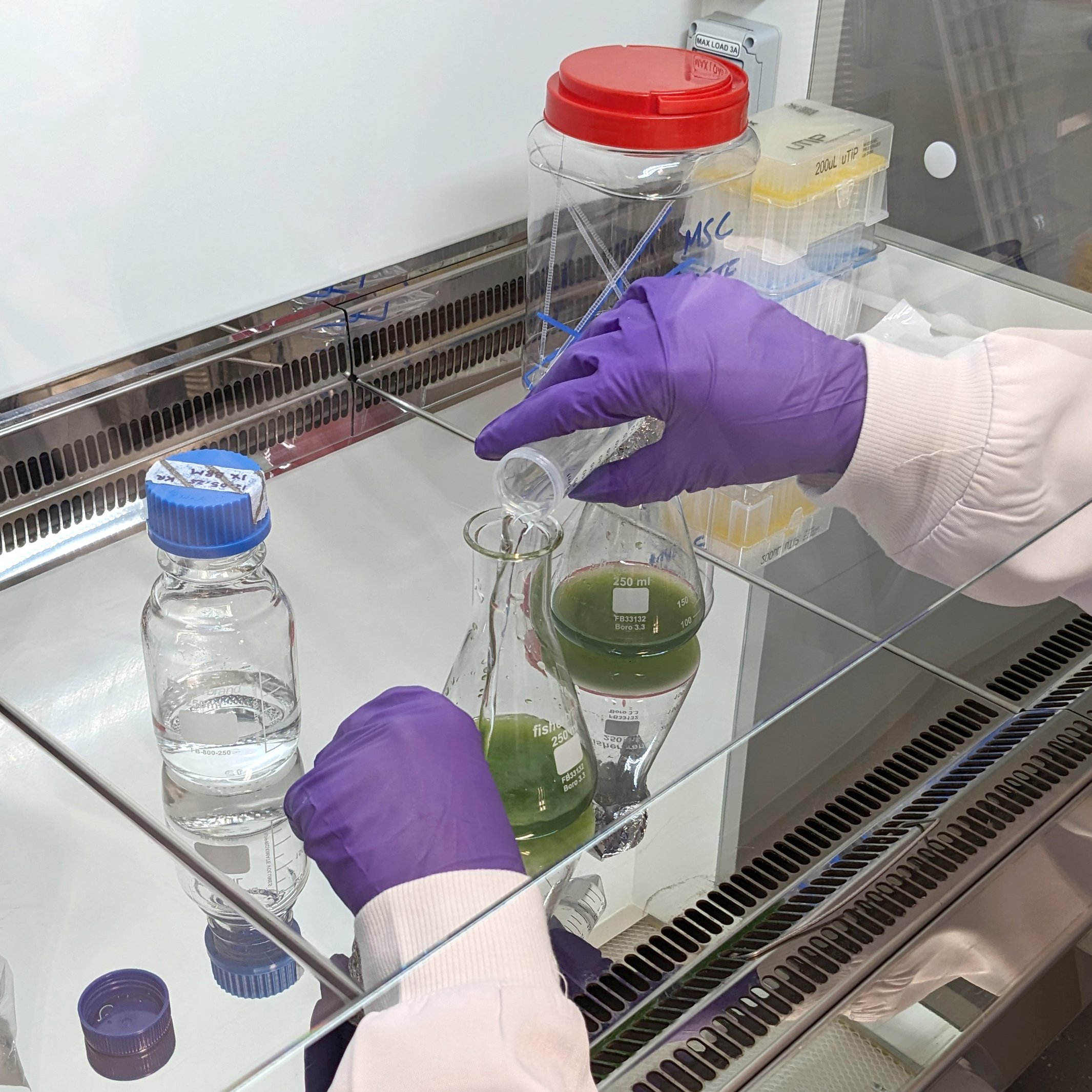 Bio Lab Residency Programme