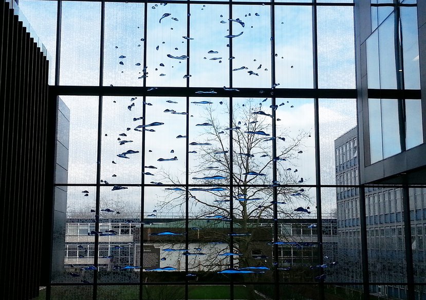 Resounding, The Forum, Oxford Brookes University, 2015–16