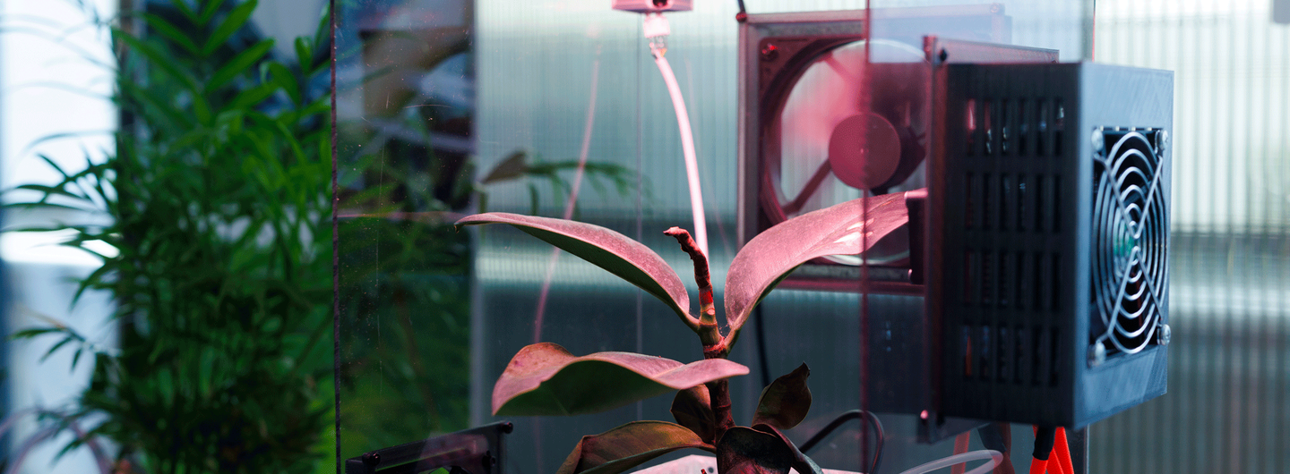 RhizoX by Yuki Abe (MA/MSc Innovation Design Engineering, 2026). Photo: Chris Lee