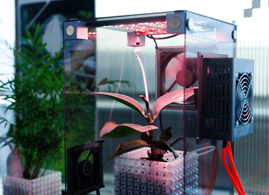 RhizoX by Yuki Abe (MA/MSc Innovation Design Engineering, 2026). Photo: Chris Lee