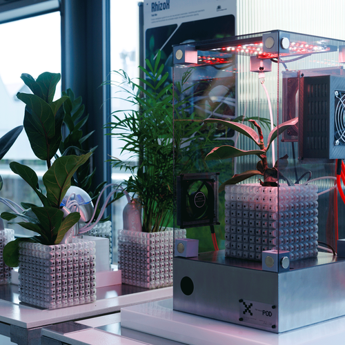 RhizoX by Yuki Abe (MA/MSc Innovation Design Engineering, 2026) at RCA2026. Photo: Chris Lee
