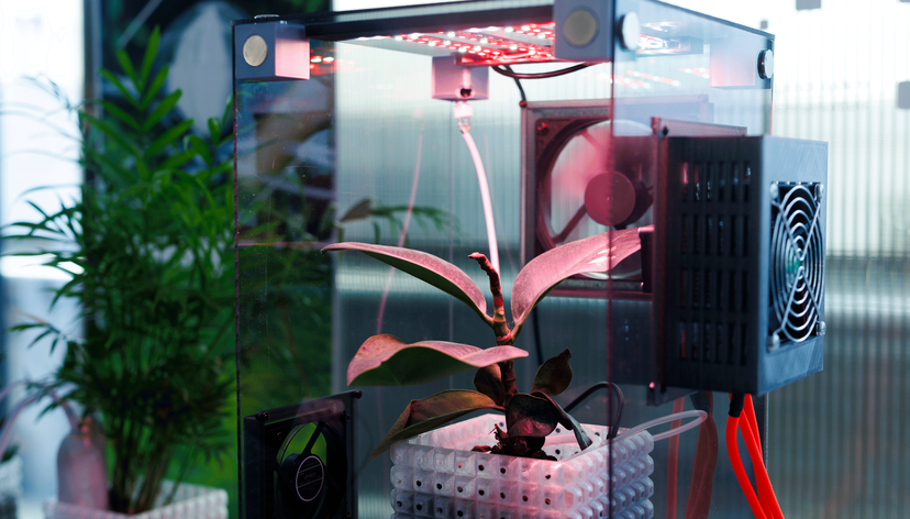 RhizoX by Yuki Abe (MA/MSc Innovation Design Engineering, 2026). Photo: Chris Lee