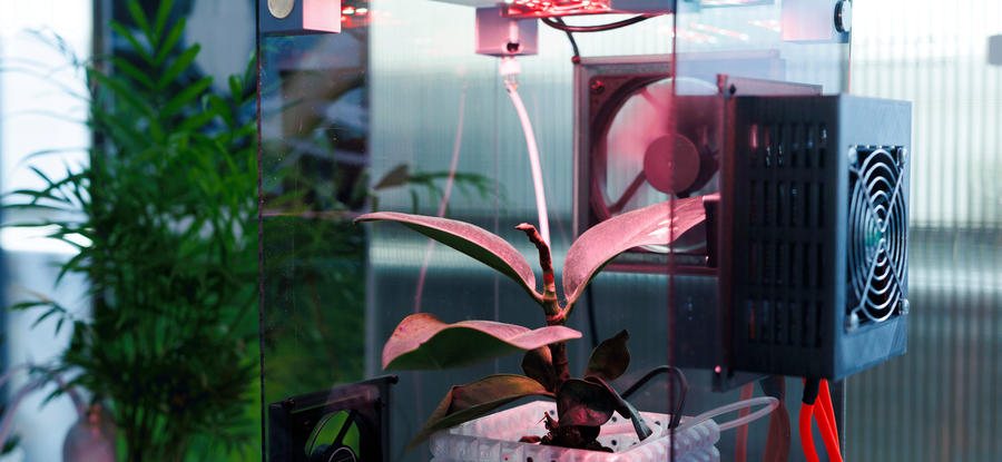 RhizoX by Yuki Abe (MA/MSc Innovation Design Engineering, 2026). Photo: Chris Lee