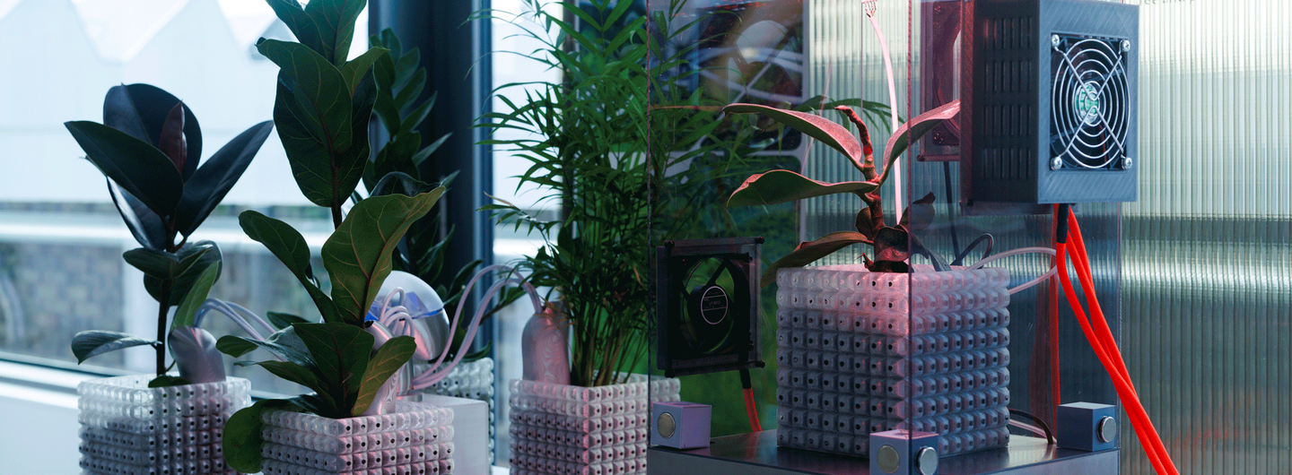 RhizoX by Yuki Abe (MA/MSc Innovation Design Engineering, 2026) at RCA2026. Photo: Chris Lee