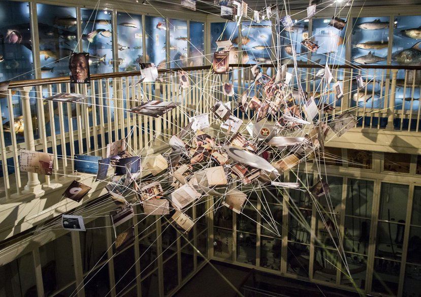 Roots Between the Tides, Installation View A