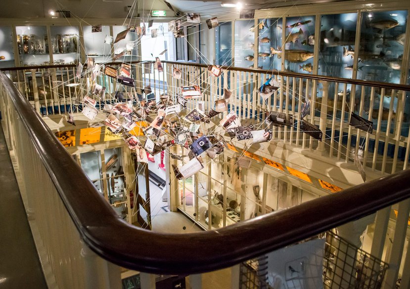 Roots Between the Tides, Installation VIew B