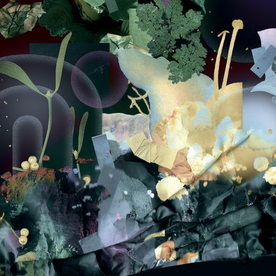 Shelby Guergis - Multidisciplinary art director and designer