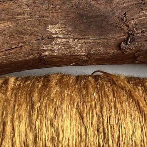 Maclura cochinchinensis (cockspur thorn) and sample of silk dyed using heartwood