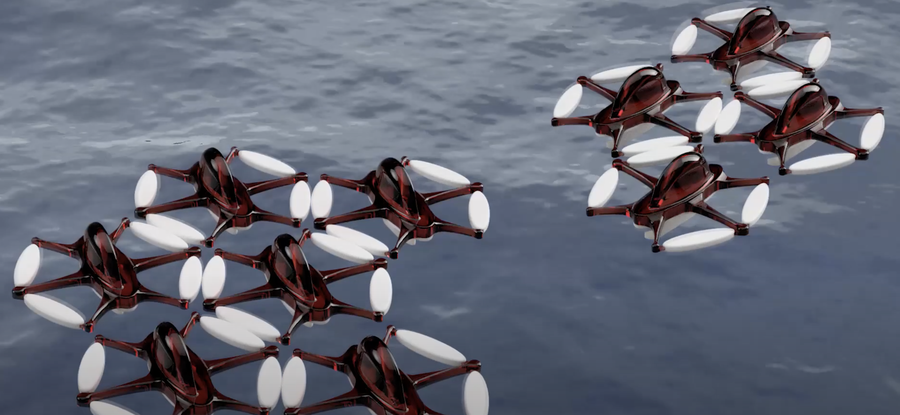 Shoal of Xellyfish