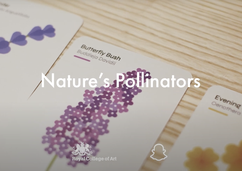 Nature's Pollinators