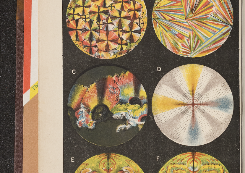 Colour Reference Library illustration from a book