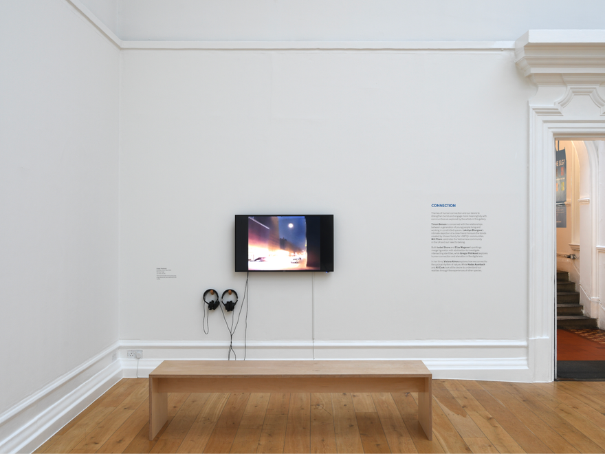 An installation of a screen in a gallery