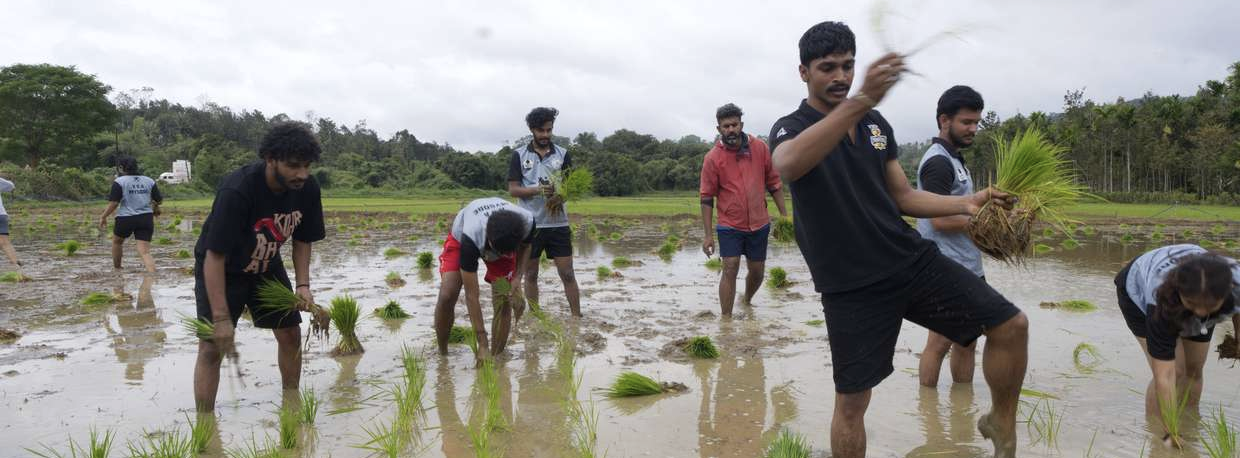 Green Violence | Ecological Practice