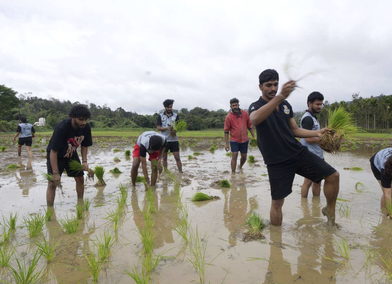 Green Violence | Ecological Practice