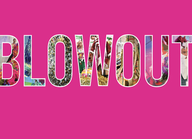 BLOWOUT: Adventures in Live, Inclusive Sculptural Practice