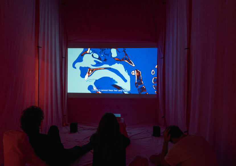 Screening of Anisocoria, 6'35'', 2020