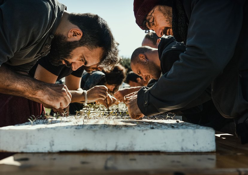 Drought Nursery at SeminAzioni in Lecce, Puglia from Rights to Seeds, Rights of Seeds, part of the CLIMAVORE x Jameel at RCA Monoculture Meltdown project.
