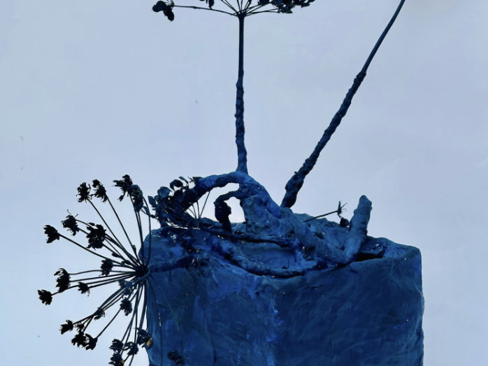 Sharon Armor, Contemporary Art Summer School 2024