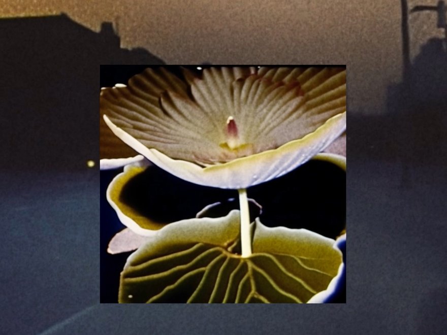 A still from an abstract film