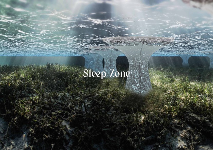 Sleep Zone