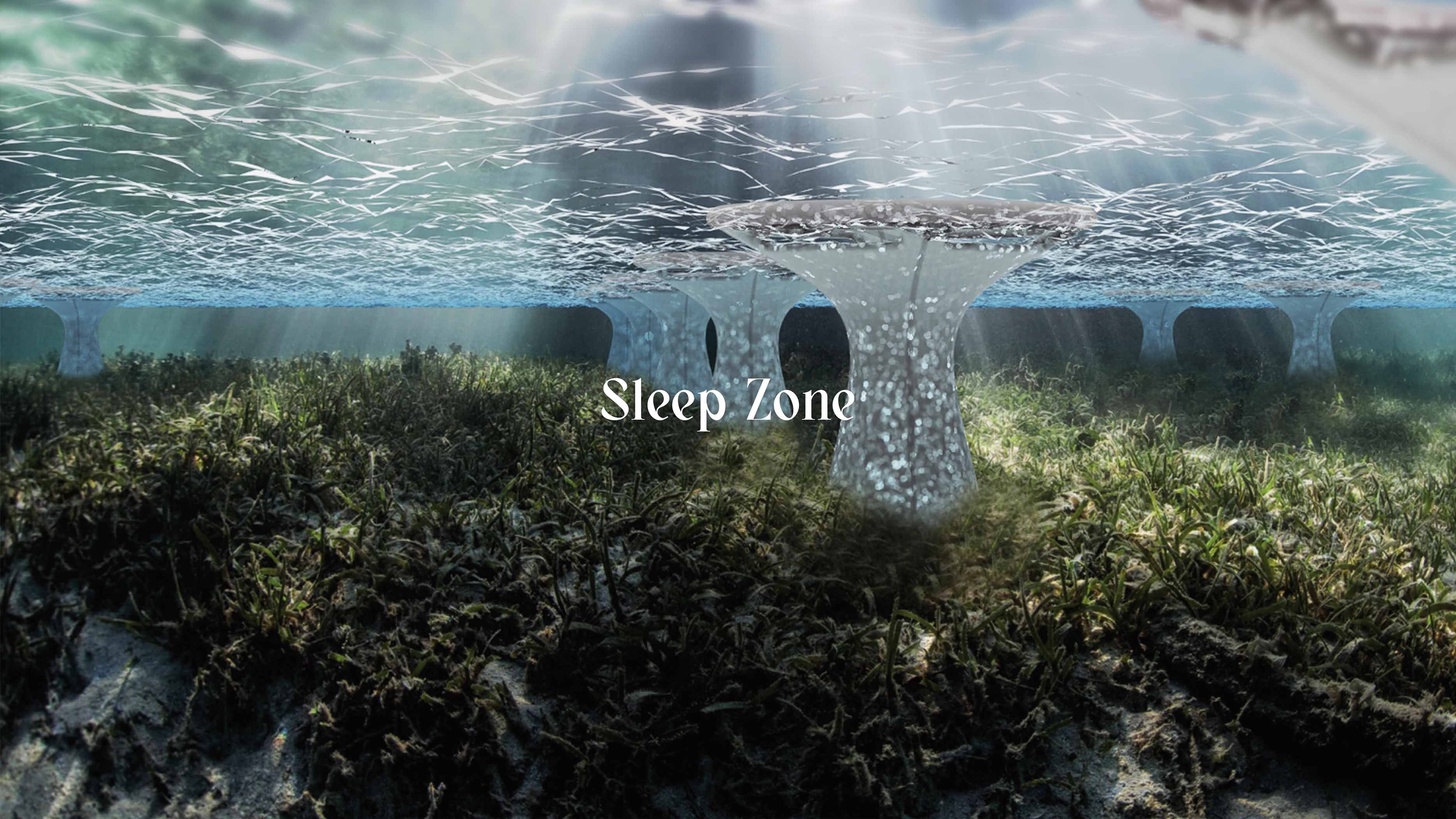 Sleep Zone