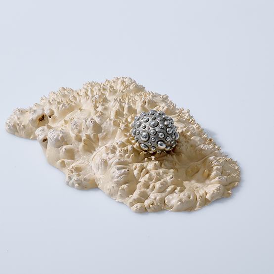 Sophie de Carvalho_MA Ceramics & Glass_Resonant Articles_White Brass and Wood_Photographer JosephAsghar_RCA2026
