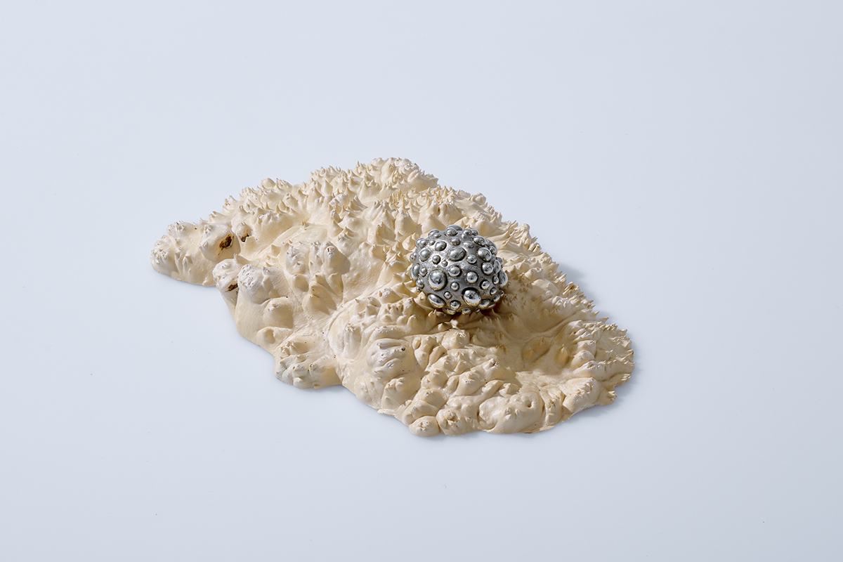 Sophie de Carvalho_MA Ceramics & Glass_Resonant Articles_White Brass and Wood_Photographer JosephAsghar_RCA2026