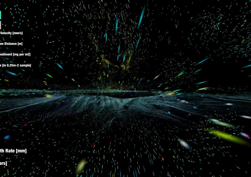 Still from video installation for Islands exhibition, in collaboration with Anabel Garcia Kurland, Design Museum, London, 2023