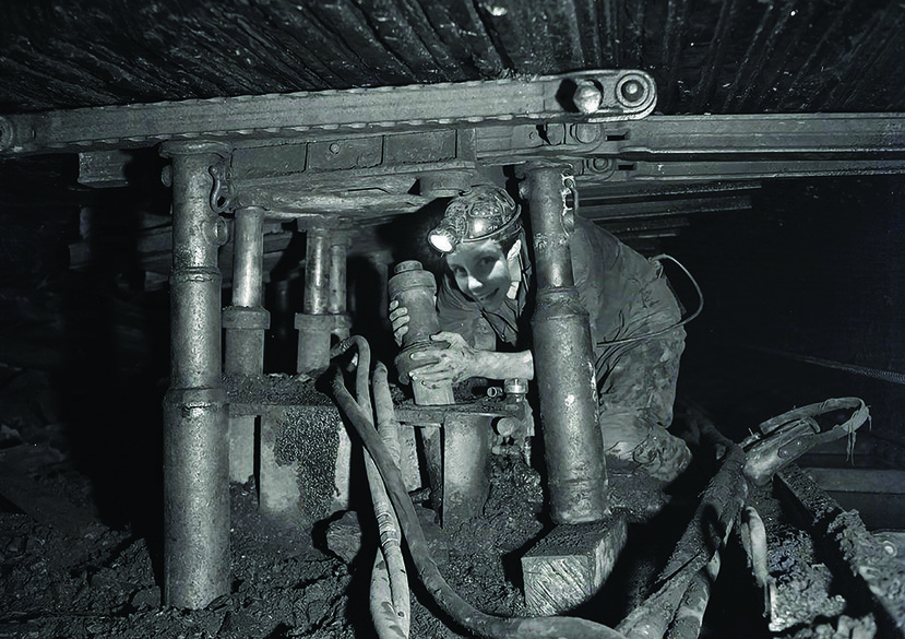 Ear Plan: from an Imaginary Perspective