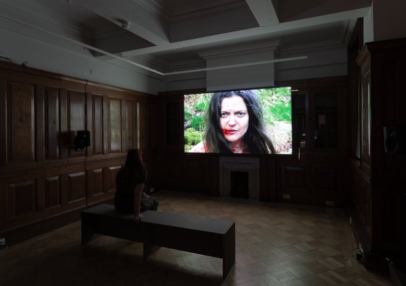 'Paradise' Installed, DC: Semiramis, The Tetley, 2018 (photographer: Jules Lister)