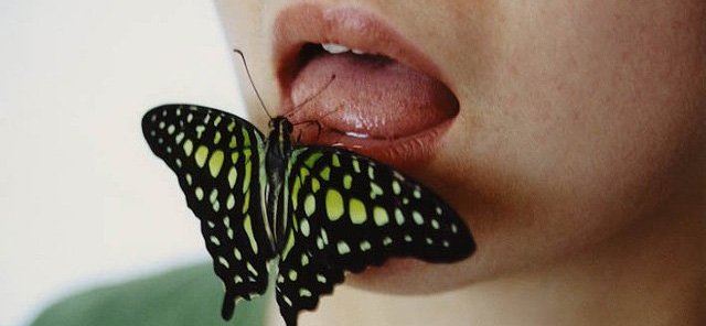 Taste Green, 2008, c-type print. 25 x 30cm