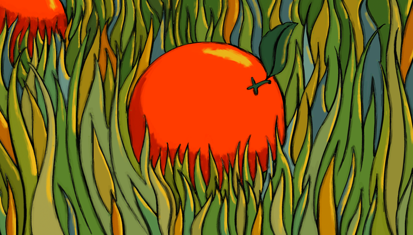 The Eating of an Orange, 2024 (film still)