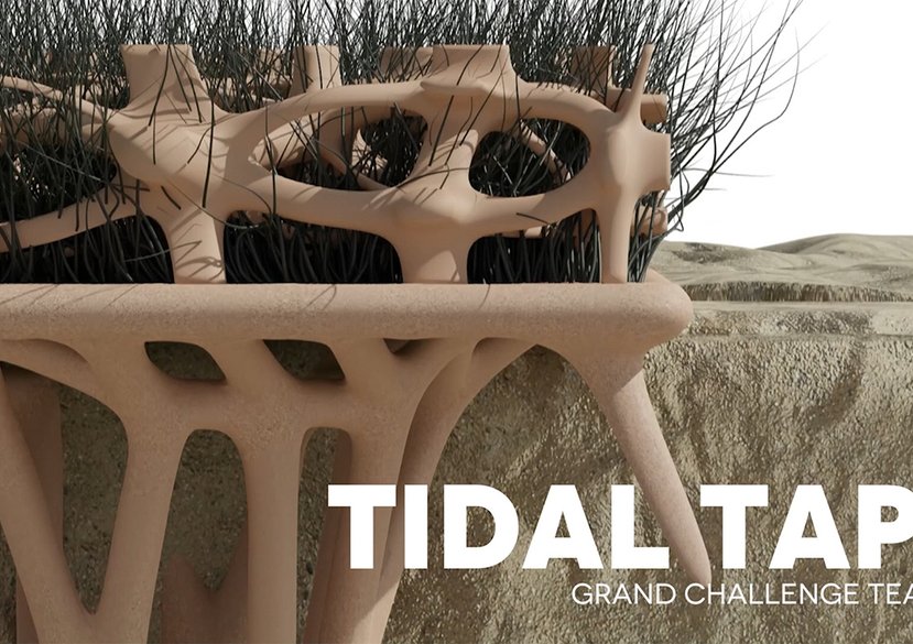 Tidal Tape
