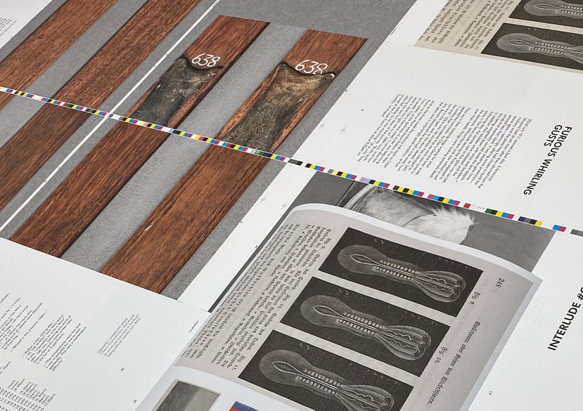 O'Riley, T. (2020) Endlessness, Eindhoven: Peter Foolen Editions