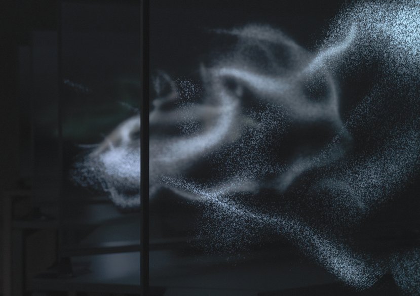 Time Flux