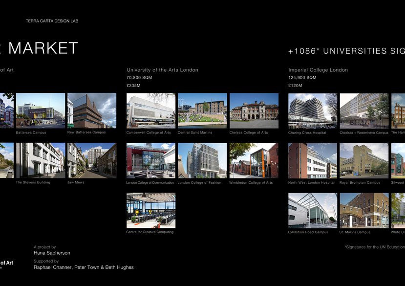 University Network Market: UN Education Race to Zero Commitments